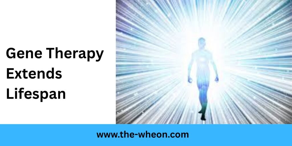 Gene Therapy Extends Lifespan